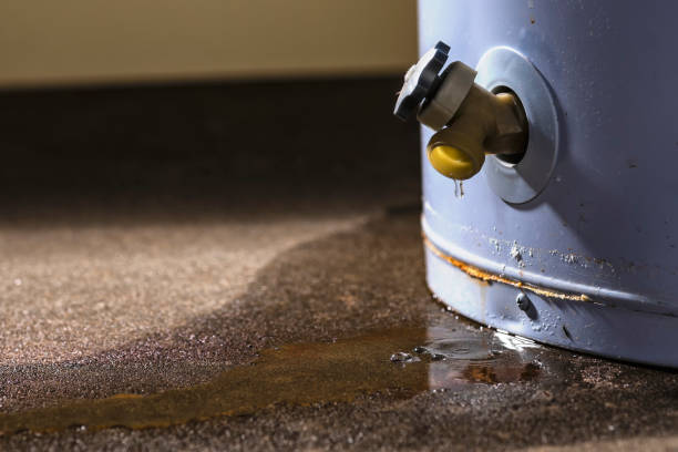 Best Flood damage cleanup  in Morton, MS