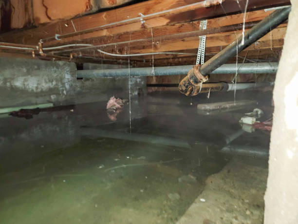 Best 24/7 water damage repair  in Morton, MS