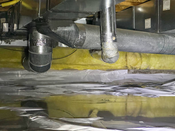 Best Water damage cleanup near me  in Morton, MS